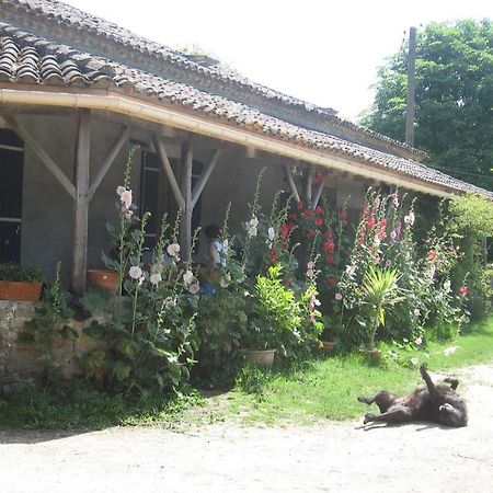 Chambres D'Hotes Le Chintre Queyssel 외부 사진