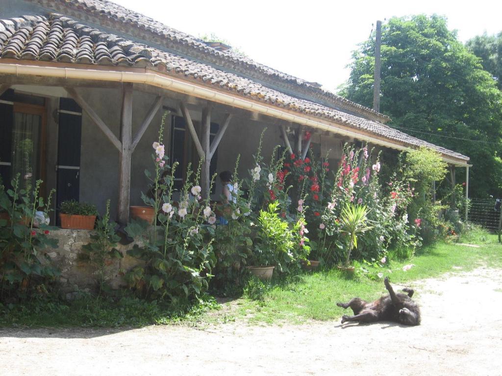 Chambres D'Hotes Le Chintre Queyssel 외부 사진